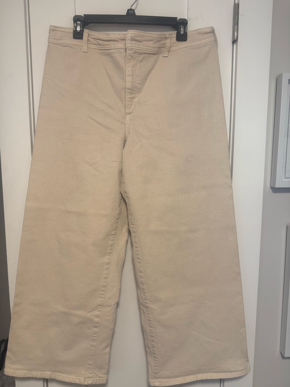 Universal Thread Wide-Leg Chinos in Light Tan